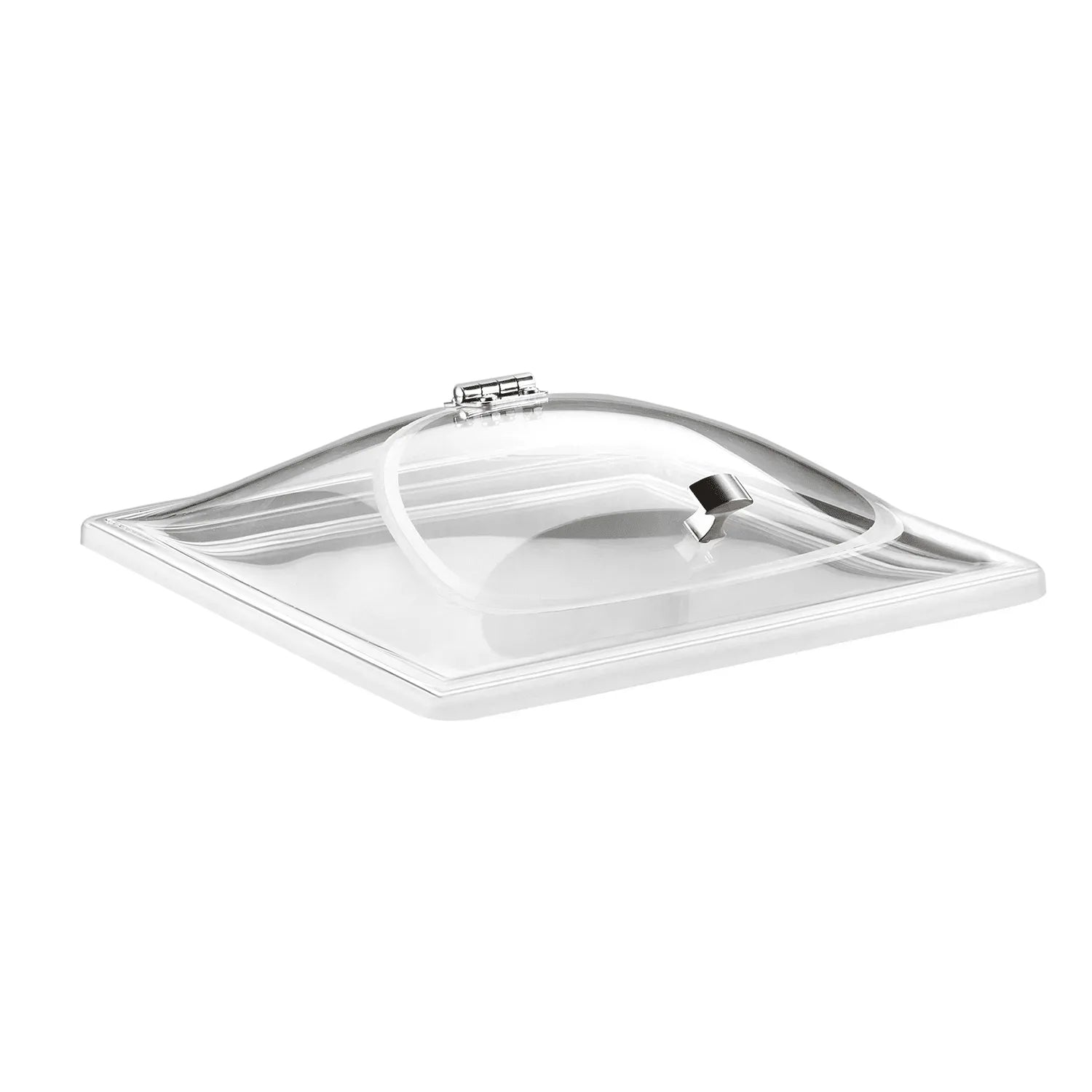 Plate Cover / Cloche